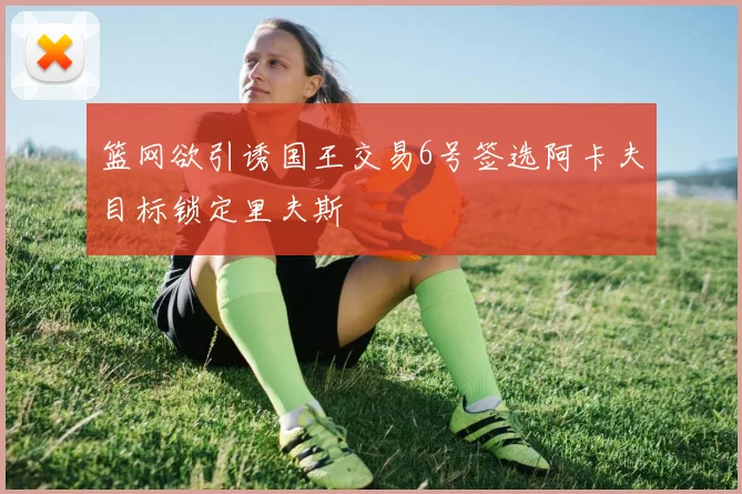 篮网欲引诱国王交易6号签选阿卡夫目标锁定里夫斯
