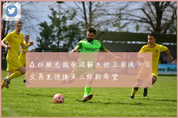 森林狼总裁承诺解决控卫困境今日交易里德换来三球新希望