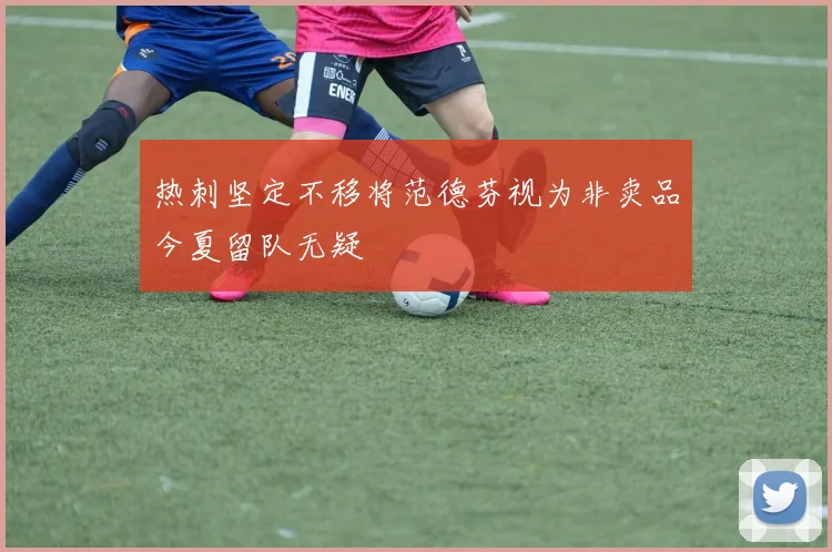 热刺坚定不移将范德芬视为非卖品今夏留队无疑