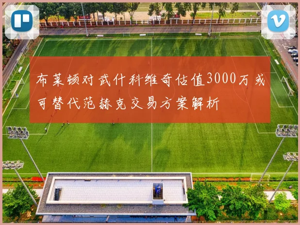 布莱顿对武什科维奇估值3000万或可替代范赫克交易方案解析